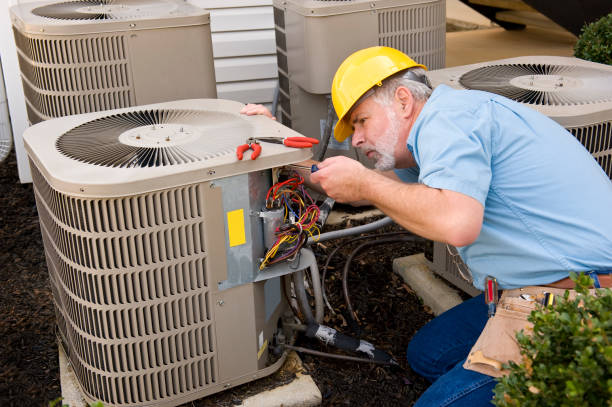 Best HVAC Air Duct Cleaning  in Cottonwood, MN